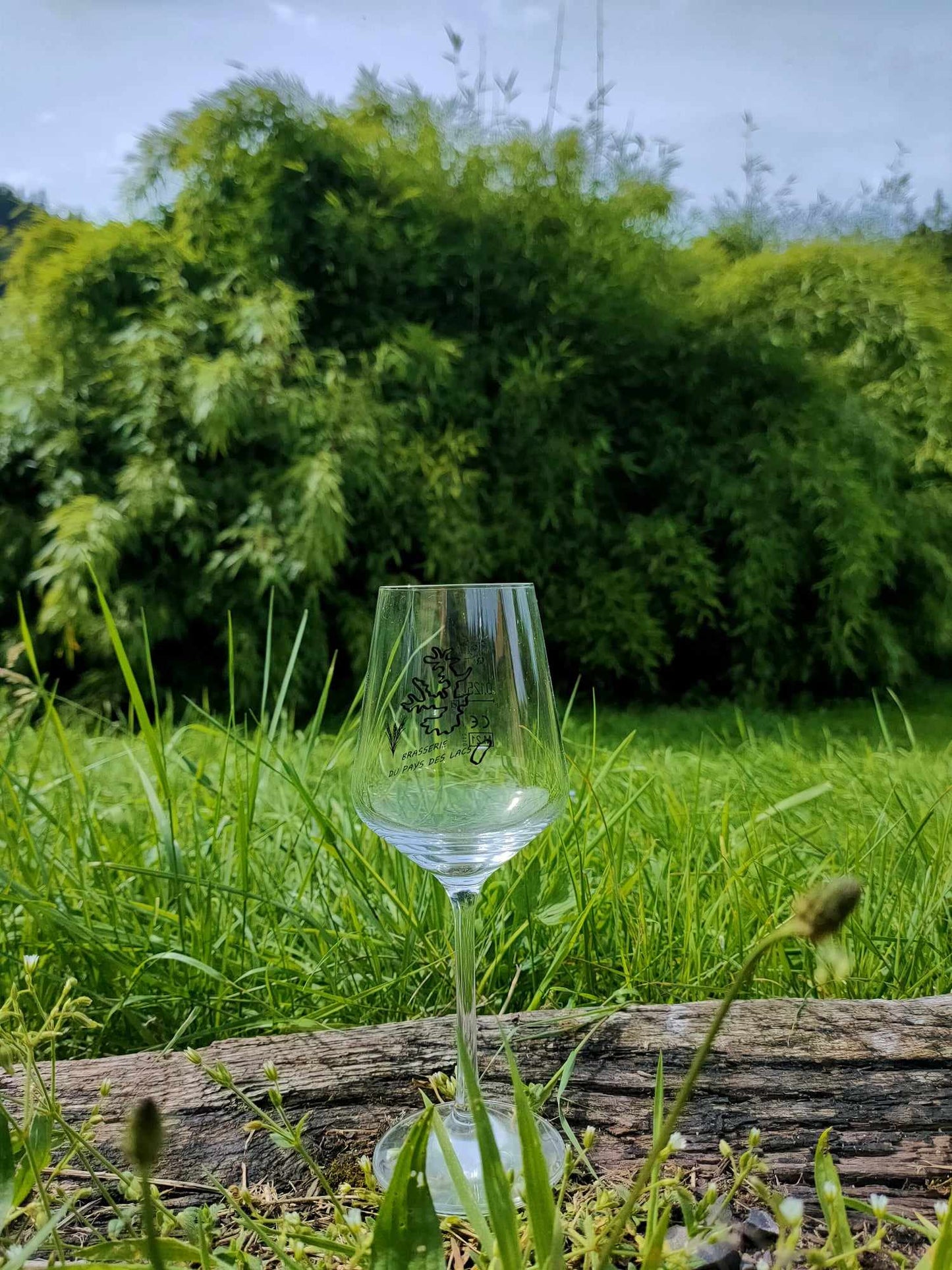 Verre à pied